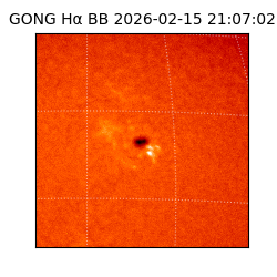 gong - 2026-02-15T21:07:02