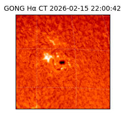 gong - 2026-02-15T22:00:42