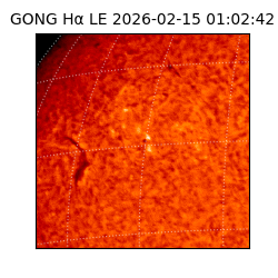 gong - 2026-02-15T01:02:42