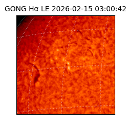 gong - 2026-02-15T03:00:42