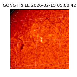 gong - 2026-02-15T05:00:42