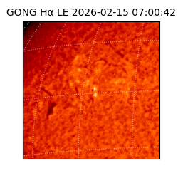 gong - 2026-02-15T07:00:42