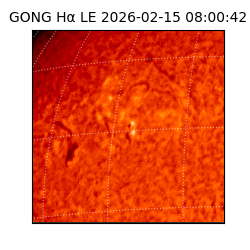 gong - 2026-02-15T08:00:42