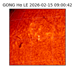 gong - 2026-02-15T09:00:42