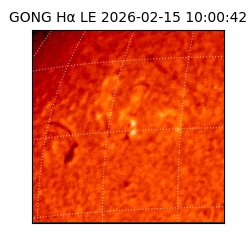 gong - 2026-02-15T10:00:42