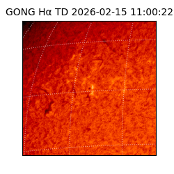 gong - 2026-02-15T11:00:22