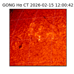 gong - 2026-02-15T12:00:42