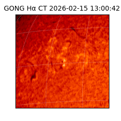 gong - 2026-02-15T13:00:42