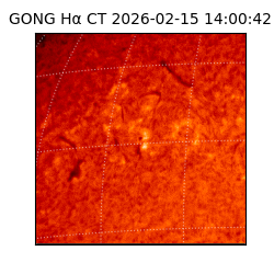 gong - 2026-02-15T14:00:42