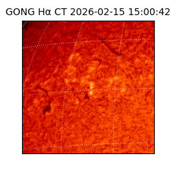 gong - 2026-02-15T15:00:42