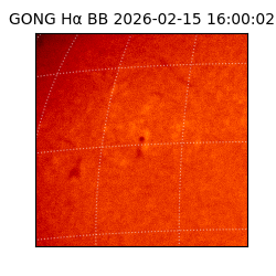 gong - 2026-02-15T16:00:02