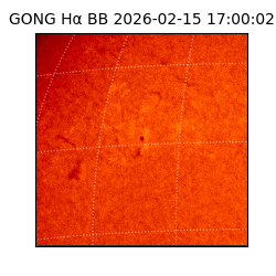 gong - 2026-02-15T17:00:02