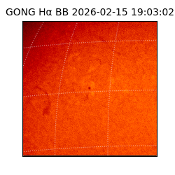 gong - 2026-02-15T19:03:02