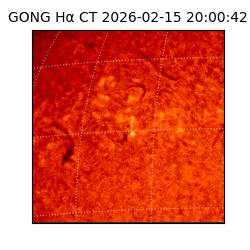 gong - 2026-02-15T20:00:42