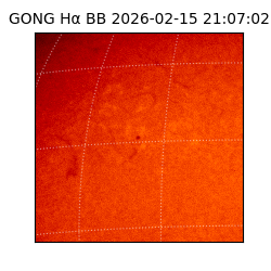 gong - 2026-02-15T21:07:02