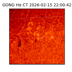 gong - 2026-02-15T22:00:42