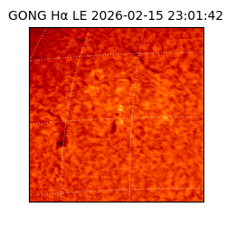 gong - 2026-02-15T23:01:42