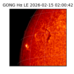 gong - 2026-02-15T02:00:42