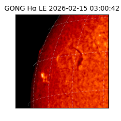 gong - 2026-02-15T03:00:42