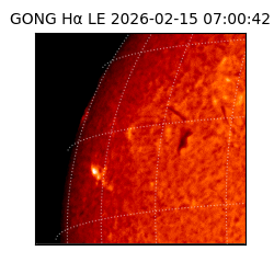 gong - 2026-02-15T07:00:42