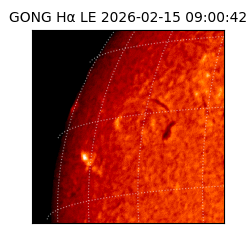 gong - 2026-02-15T09:00:42