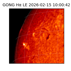 gong - 2026-02-15T10:00:42