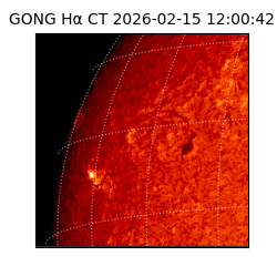 gong - 2026-02-15T12:00:42