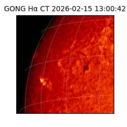 gong - 2026-02-15T13:00:42