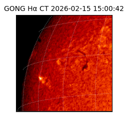 gong - 2026-02-15T15:00:42
