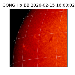 gong - 2026-02-15T16:00:02