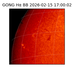 gong - 2026-02-15T17:00:02