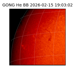 gong - 2026-02-15T19:03:02