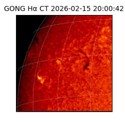 gong - 2026-02-15T20:00:42