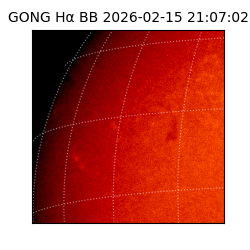 gong - 2026-02-15T21:07:02