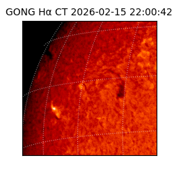 gong - 2026-02-15T22:00:42