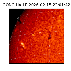 gong - 2026-02-15T23:01:42