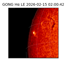 gong - 2026-02-15T02:00:42