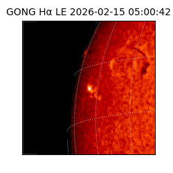 gong - 2026-02-15T05:00:42
