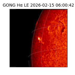 gong - 2026-02-15T06:00:42