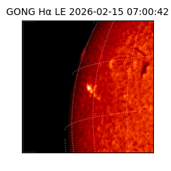 gong - 2026-02-15T07:00:42