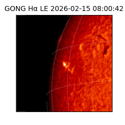 gong - 2026-02-15T08:00:42