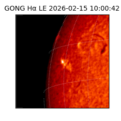 gong - 2026-02-15T10:00:42