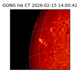 gong - 2026-02-15T14:00:42