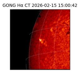 gong - 2026-02-15T15:00:42