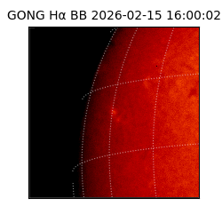 gong - 2026-02-15T16:00:02