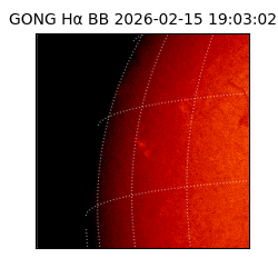 gong - 2026-02-15T19:03:02