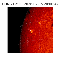 gong - 2026-02-15T20:00:42