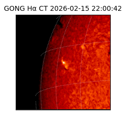 gong - 2026-02-15T22:00:42