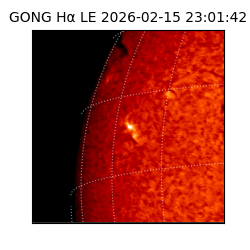 gong - 2026-02-15T23:01:42