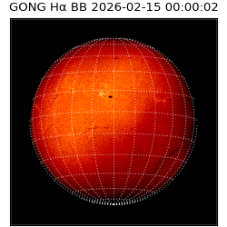 gong - 2026-02-15T00:00:02